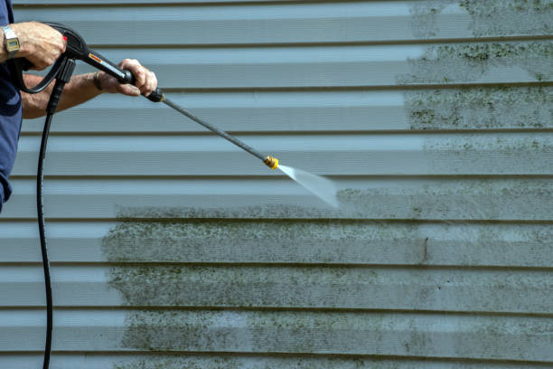 Best Sidewalk and Walkway Cleaning  in Upper Lake, CA