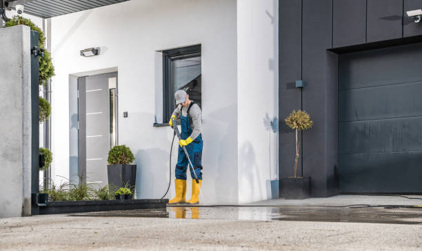 Spring Cleaning in Upper Lake, CA